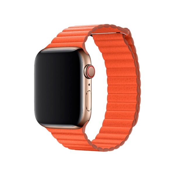 Apple Watch Series 6 - (Renewed)
